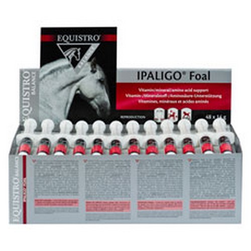 EQUISTRO IPALIGO FOAL          	b/48*14 g 	pate or